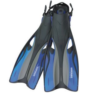 Fins with strap